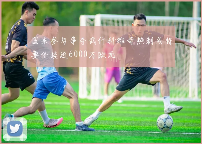 国米参与争夺武什科维奇热刺或将要价接近6000万欧元