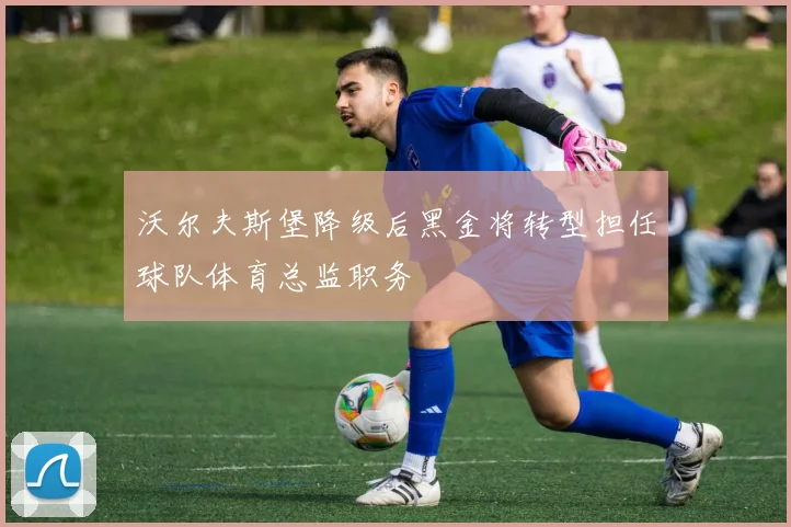 沃尔夫斯堡降级后黑金将转型担任球队体育总监职务